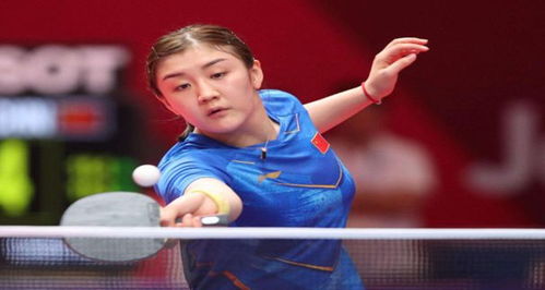 概率与期望 概率与期望